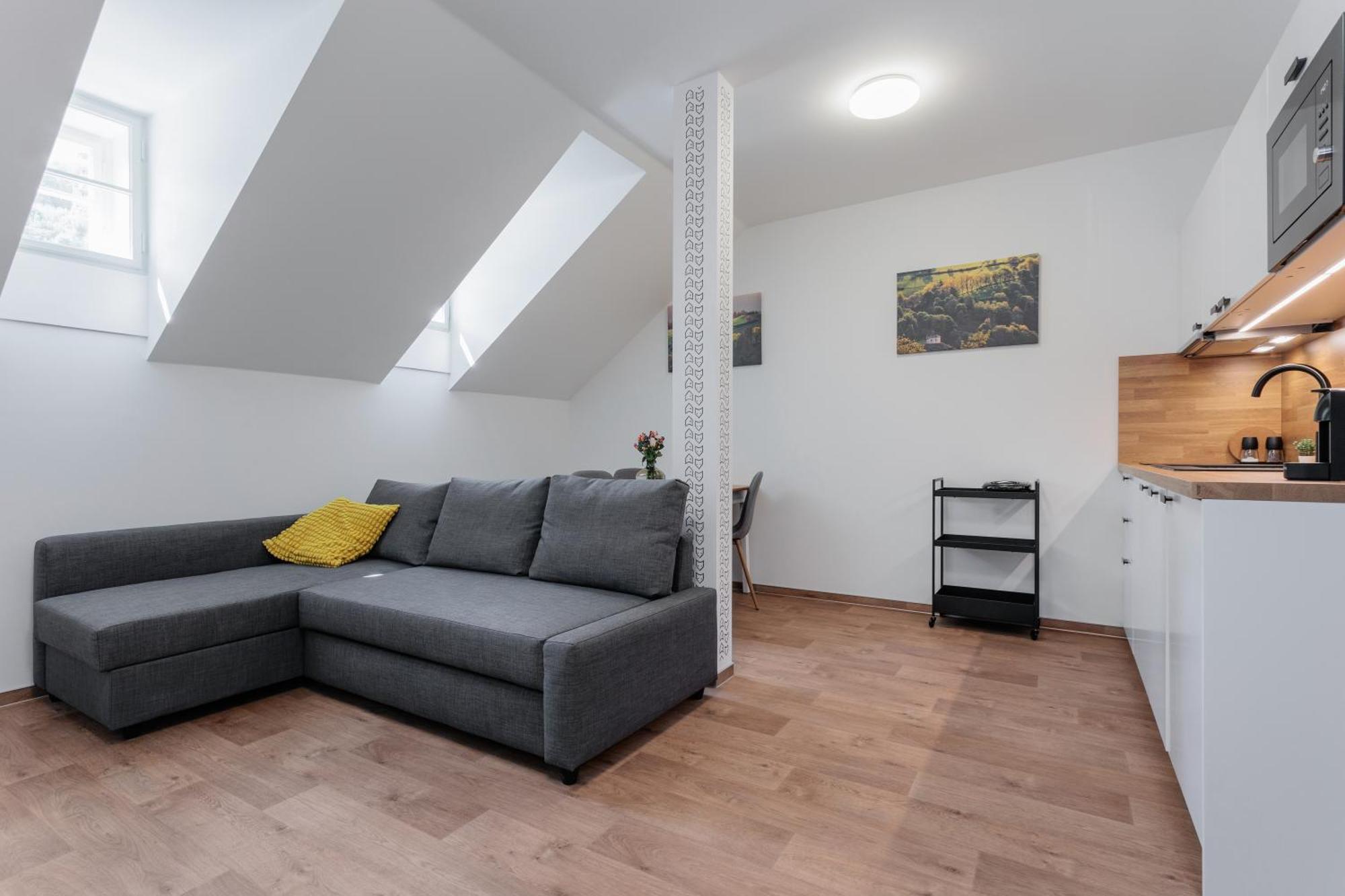 Apartmany Stribrna Liska Jáchymov Dış mekan fotoğraf